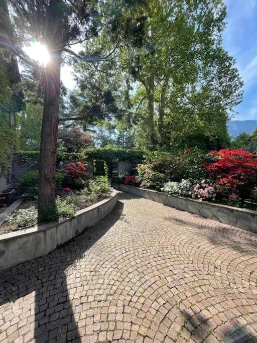 Apartment Domus Aurea Bolzano